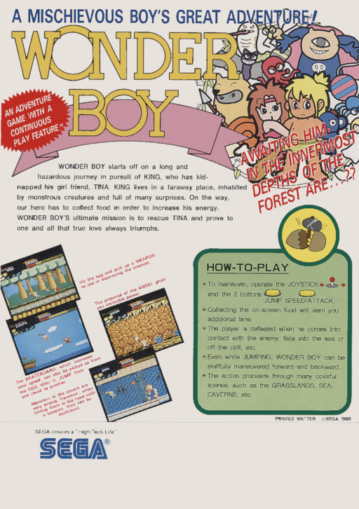 Wonder Boy (set 1, 315-5177) Arcade Game Cover